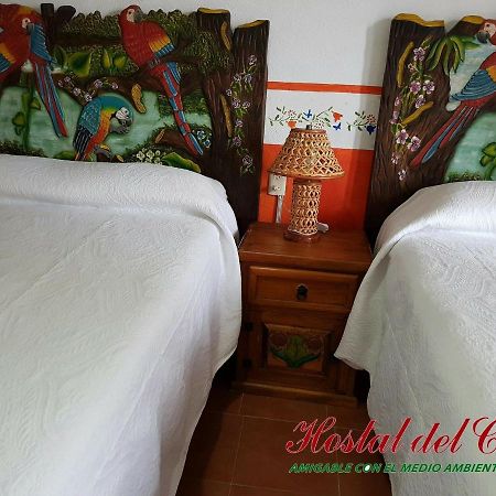 Hotel Hostal Del Cafe Xilitla Exterior photo